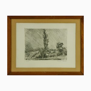 Arnoldo Ciarrocchi, Paysage, 1970s, Gravure à l'Eau-Forte