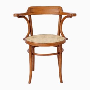 Early 20th Century Bentwood Armchair in Viennese Braid from Fischel