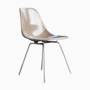 1st Edition Greige Fiberglass Shell Chair by Eames for Herman Miller , 1950s