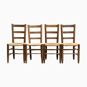 Chaises en Rotin et Bois, Début 20ème Siècle, Set de 4