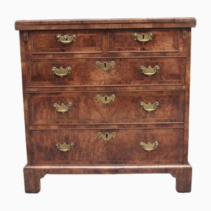 Vintage Bachelors Chest in Walnut, 1920