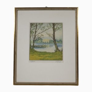 Münzel, Bäume am See, 1890er, Lithographie