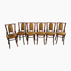 Wooden Chairs, 1950s, Set of 6