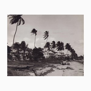 Fotografía en blanco y negro de Hanna Seidel, río Surinamés con palmeras, años 60