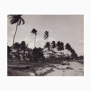 Hanna Seidel, Surinamese River with Palm Trees, Black and White Photograph, 1960s