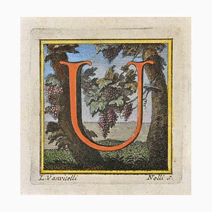 Luigi Vanvitelli, Letter of the Alphabet: U, Etching, 18th Century