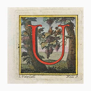 Luigi Vanvitelli, Lettre de l'Alphabet: U, Gravure, 18ème Siècle