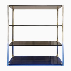 Vintage Amber Glass & Steel Display Bookcase by Gallotti & Radice, 1970s