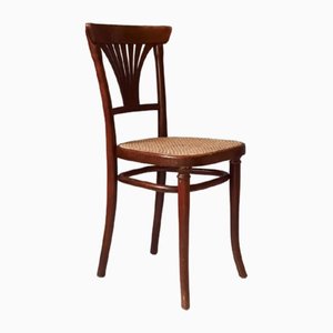 Antiker Nr. 221½ Stuhl von Thonet, 1900er