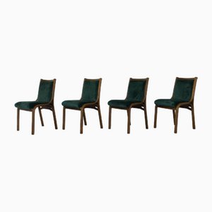 Cavour Stühle aus Nussholz & Samt von Gregotti, Meneghetti & Stoppino für Sim, 1960er, 4er Set