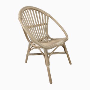 Vintage Rattan Shell Chair