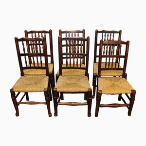 Ash Harlequin Spindleback Chairs, 1900s, Set of 6