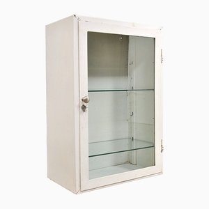 Small Vintage Medical Cabinet in Iron and Glass, 1950s