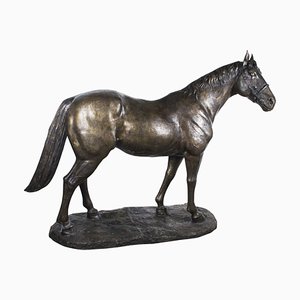 Life Size Bronze Statue of a Stallion Horse, 1980s