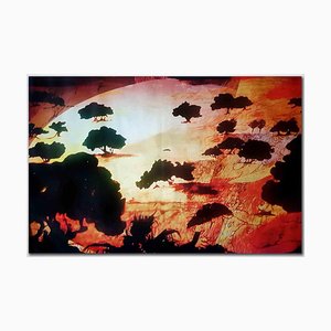 Laura d'Andrea, Caroubier au Coucher de Soleil, Huile sur Toile, 2020