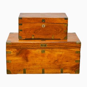 Small 19th Century Camphor and Brass Bound Trunk