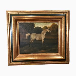 Artista inglese, cavallo bianco, XIX secolo, olio su legno, con cornice