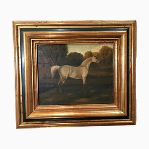 Artiste Anglais, Cheval Blanc, 1800s, Huile sur Bois, Encadré
