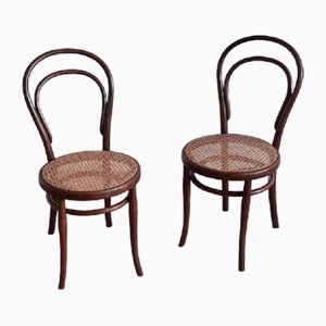 No. 14 Chairs by Michael Thonet for Thonet, 1910s, Set of 2