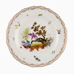 Plato antiguo de porcelana de Meissen con pájaros e insectos pintados a mano