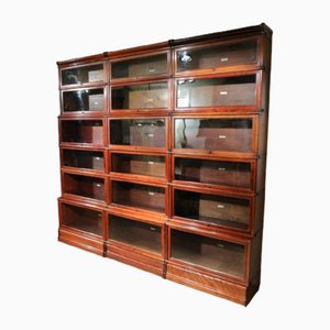 Libreria grande Wernicke, fine XIX secolo, set di 18