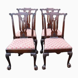 Mahogany Ball and Claw Feet Highback Chairs, 1880s, Set of 4