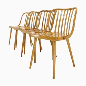 Chaises de Salle à Manger en Hêtre par Antonin Suman, Tchécoslovaquie, 1960s, Set de 4