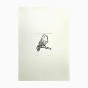 Enotrio Pugliese, Owl, 1970s, Etching