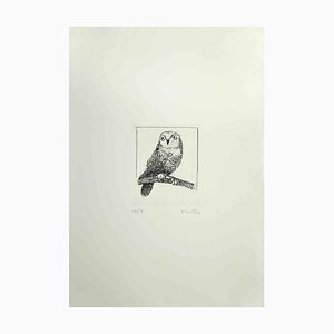 Enotrio Pugliese, Owl, 1970s, Etching