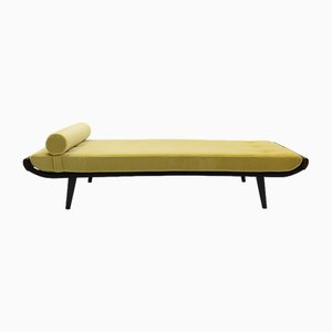 Cleopatra Daybed by Dick Cordemeijer for Auping, 1950s