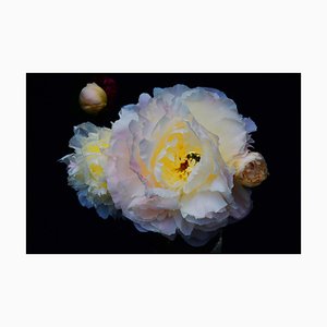 Michael Yamaoka, Constellation Florale, 2022, Impression Pigmentaire