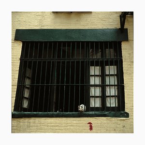 Michael Yamaoka, Chat dans une fenêtre de Soho, 1982, Impression Pigmentaire