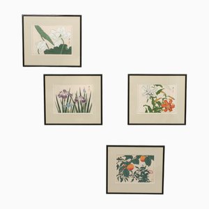 Sakai Hoitsu, Flowers, Woodblock Prints, 1920s, Framed, Set of 4