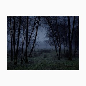 Ellie Davies, Stillness 3, C-Type Print