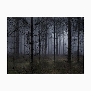 Ellie Davies, Stillness 1, Impresión tipo C