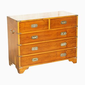 Vintage Military Campaign Chest of Drawers in Burr Yew Wood