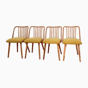 Chaises de Salle à Manger attribuées à A. Suman pour Tatra Nabytok, Tchécoslovaquie, 1960s, Set de 4