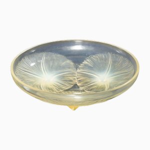 Opal Volubilis Bowl by René Lalique, 1920s