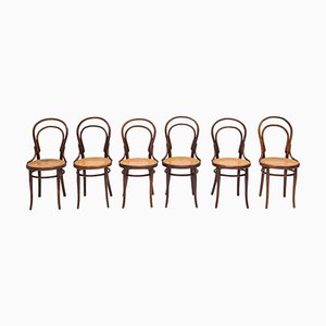 Bentwood No.14 Dining Chairs attributed to Michael Thonet for Thonet, 1900s, Set of 6