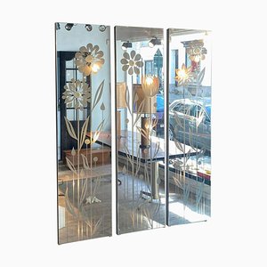 Backlit Mirrored Panels with Coat Hangers, 1970s, Set of 3