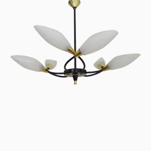 Black Metal and Brass Chandelier with Glass Tulips, 1960s