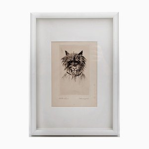 Kath Paul, Copperplate with a Schnauzer Dog, Schnauzerl, 1800s, Paper, Framed