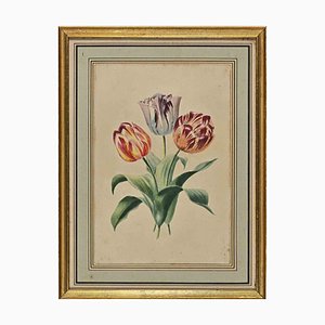 Edouard Maubert, tulipanes, aguafuerte, siglo XIX