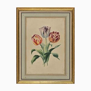 Edouard Maubert, Tulips, Etching, 19th Century