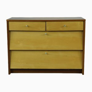 Mid-Century Shoe Cabinet with Drawers