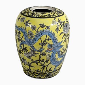 Vaso della dinastia Qing con due draghi in porcellana cinese