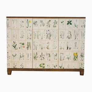 Mahogany Cabinet Covered with Nordens Flora Illustrated Paper, 1940s