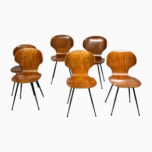 Dining Chairs by Carlo Ratti, Set of 6