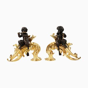 Louis XV Style Firewood Cabinets in Gilded and Patinated Bronze, Set of 2