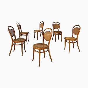 Sillas francesas antiguas de haya y paja de Thonet, década de 1890. Juego de 6